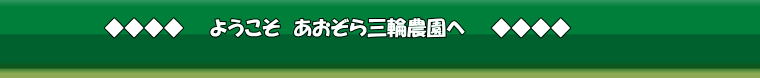 ヘッダーイメージ